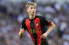 Steven Fletcher hands in transfer request as Wolves-Sunderland talks drag 