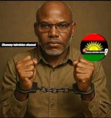 Danstan Omari says the law allows Trump to capture Ruto!