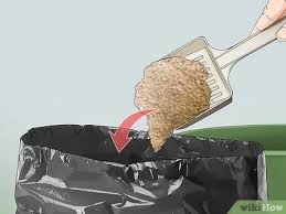 • use only what you need, and store leftovers in airtight containers. 3 Ways To Dispose Of Acrylic Paint Wikihow