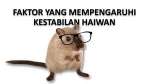 Dalam menjaga kestabilan harga harus dilakukan secara sinergis dan harmonis oleh pemerintah dan masyarakat. Faktor Yang Mempengaruhi Kestabilan Youtube