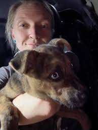 Lost pet found in El Paso, Hercules area, receives medical care