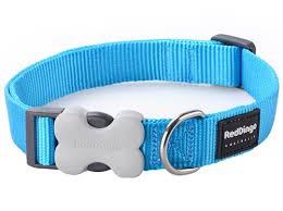 Check spelling or type a new query. Red Dingo Turquoise Blue Dog Collar Tough Nylon D For Dog