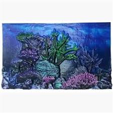 Biobubble 3d Aquarium Background 10 Gallons Aquarium Backgrounds Aquariums For Sale Coral Reef