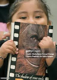 14 Fullerton College Library Stock Photos, High-Res Pictures, and Images