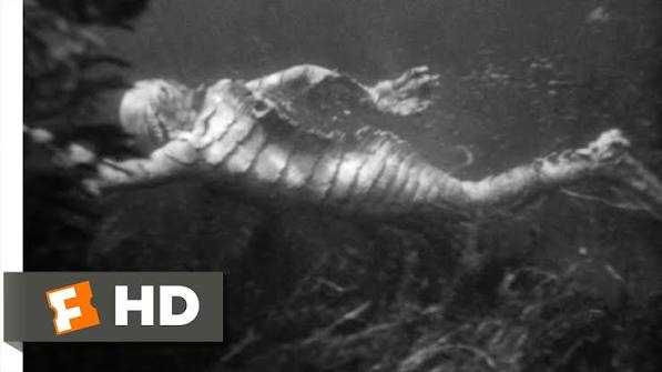 Creature from the Black Lagoon (7/10) Movie CLIP - Underwater Hunt (1954) HD