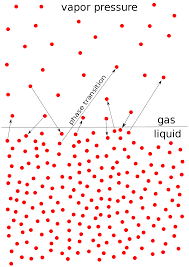 vapor pressure wikipedia