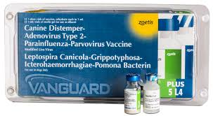 Vanguard Plus 5 L4 Zoetis Us