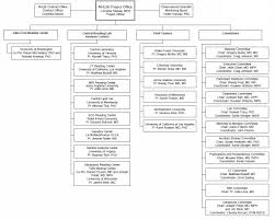 28 Paradigmatic Stanford University Organization Chart