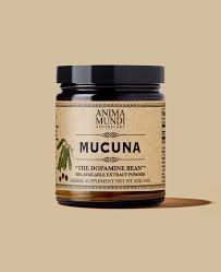Image result for Mucuna