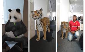 List of 3d animals and objects. Google Ar Search Lets You See Life Sized 3d Animals Up Close