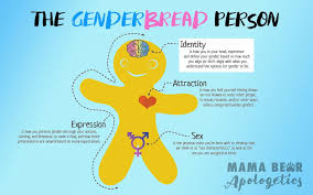 The Genderbread Person Part 1 Gender Identity Mama Bear Apologetics