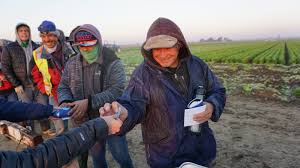 Without Our Farmers, Where Would We Be?