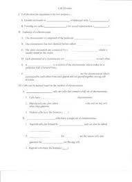 In the mean time we talk about 11.4 meiosis worksheet answer key, scroll the page to see particular variation of photos to add more info. Meiosis Powerpoint And Guided Notes Worksheets Teaching Resources Tpt