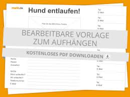 Die 413 besten bilder von tiere achten sie leben mit uns in 2019 buch schreiben lebenslauf vorlage ideen part 121 kostenlose kündigungsvorlagen briefvorlagen und vollmachten part 111 unglaubliche katze vermisst vorlage. Hund Entlaufen Tipps Massnahmen Und Suchzettel Markt De