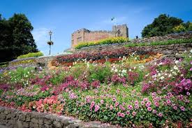 Provided to youtube by sony music entertainmentflowers · chris youngchris young℗ 2006 bmg musicreleased on: Blooming Tamworth Is Going For Gold For The Tenth Time Birmingham Live