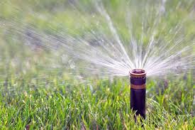 Divide your garden into watering zones. Garden Irrigation 101 Ollas Soaker Hoses Other Methods Gardener S Path