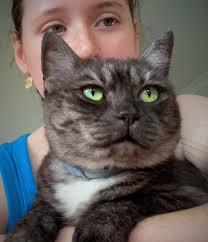 Do's and Don'ts of owning a pet