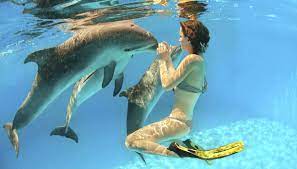 Il Sogno Di Una Vita Nuotare Con I Delfini Siviaggia
