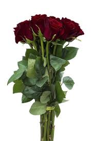4.7 out of 5 stars. Black Roses Tinted Black Roses For Sale Flower Explosion