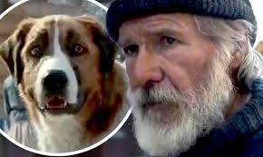 Harrison Ford And Cgi Created Dog Buck In The Call Of The Wild Trailer In 2020 Wild Movie Call Of The Wild New Movies 2020
