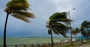 Oct 29, 2019 · 台風19号とその後の長雨で、各地の河川を襲ったバックウォーター現象。大河川だけでなく、支流の氾濫も多かった. ä¹å· æ²ç¸å°æ¹ã§éå»ã«ãã£ãå°é¢¨ å¤§é¨ã«ããç½å®³ã¯