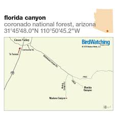 Maybe you would like to learn more about one of these? 301 Florida Canyon Coronado National Forest Arizona Birdwatching