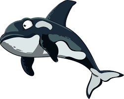 Cartoon Orca Clipart Free Download Transparent Png Creazilla Orca 1 is a piece of digital artwork by jerry lofaro which was uploaded on january 4th, 2011. cartoon orca clipart free download