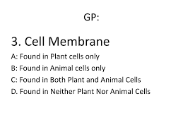 We did not find results for: Ppt Plant Vs Animal Cells Powerpoint Presentation Free Download Id 6363621