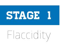 Stages Of Stroke Recovery The Brunnstrom Approach Saebo