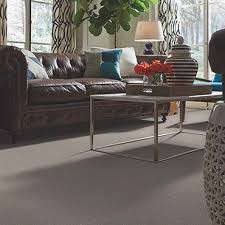 Berber carpets are among the oldest carpets available and all for good reasons, they can withstand stains & dirt really well. Berber Carpets Guide Berber Carpet Major Brands And More