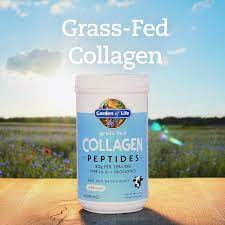 Pin On Garden Of Life Vitamins Supplements