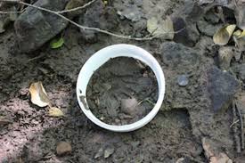226 likes · 2 talking about this.tierspuren bekannter tiere im wald. Wenn Du Wissen Willst Welche Tiere In Feldern Und Waldern In Deiner Umgebung Unterwegs Sind Kannst Du Ihnen Wie Ein Detektiv Nachspuren Okoleo Zeigt Dir Wo Du Ihre Fahrten Aufnehmen Kannst Und