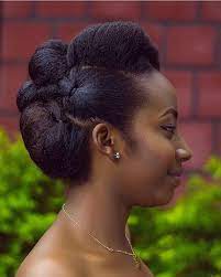 Pin By Sylvia Noa On Style My Natural Hair Natural Hair Updo Black Natural Hairstyles Natural Hair Styles