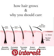Maybe you would like to learn more about one of these? 26 Waxing Hair Removal Ideas Waxing Hair Removal Waxing Tips