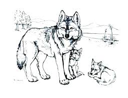 40 wolf pup coloring pages for printing and coloring. Wolf Pup Coloring Pages Novocom Top