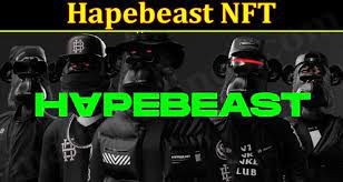 Hapebeast Nft Dec 2021 Read Authentic Details Here