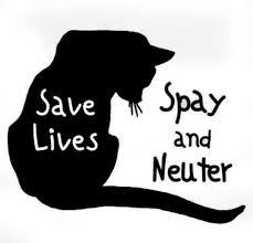 He said they must sign a sterilization agreement and it is our priority to be able to make sure that they are sterilized. a voided spay/neuter voucher from animal care services. Ark Brawa Cat Spay Neuter Voucher Animal Rescue Kare