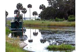 Visitors can enjoy a variety of activities such as wildlife viewing from a boardwalk that stretches out over the upper myakka lake, then take to the treetops with a stroll along the canopy walkway. Myakka River State Park Die Besten Insider Tour Tipps