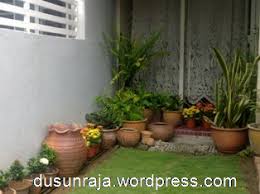 Taman mini indonesia indah (tmii) adalah salah satu objek wisata yang sangat terkenal di ibukota jakarta. Bekalan Pokok Bunga The Royal Orchard