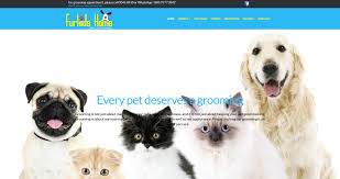 Maybe you would like to learn more about one of these? The 12 Options For The Best Cat Grooming In Singapore 2021