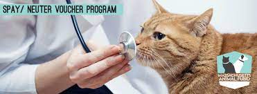 These funds are offered for major or emergency care, behavioral or at low income relief, i use my professional research and reporting experience to help low income families save money and make ends meet. Spay Neuter Voucher Program Mass Gov
