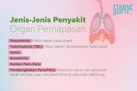Jadi seperti itulah semua upaya pencegahan penyakit pada sistem reproduksi manusia penyebab kemandulan. Beberapa Upaya Menjaga Kesehatan Sistem Pernapasan Biologi Kelas 8