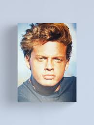 Luis Miguel Canvas Print