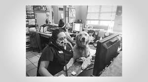 Pet vet animal hospital hawaii. Vca Waipahu Animal Hospital Home Facebook