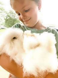 Unicorn Farts Rabbitry