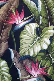 Tropical Birds Of Paradise Wallpaper Pin By Bisma Ali On Art In 2020 Tropical Art Print Birds Of Paradise Flower Art