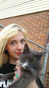 Lost Cat in Huntsville, AL