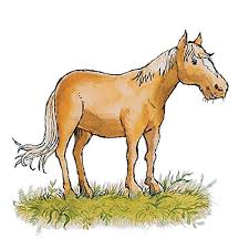 Check spelling or type a new query. Using Manure To Fertilize Your Garden Finegardening