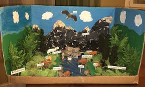 Taiga Biome School Project Rainforest Project Ecosystems Projects Biomes Project