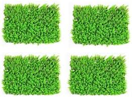 We did not find results for: Buy Green Plant Indoor Artificial Wall Grass Mat Natutal Look Online At Low Prices In India Paytmmall Com